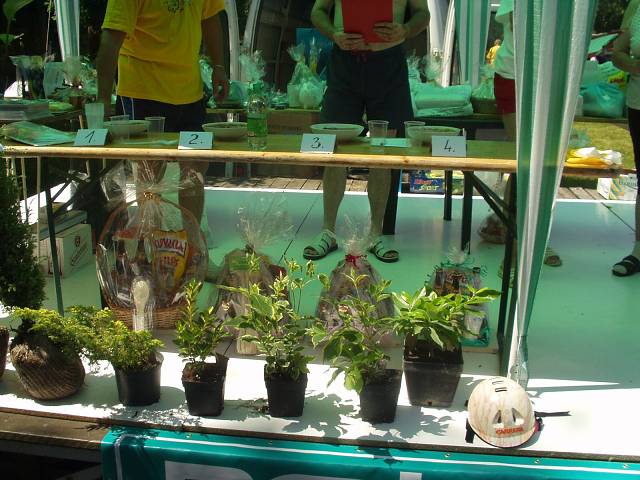 Camping Lodenica Pie��any