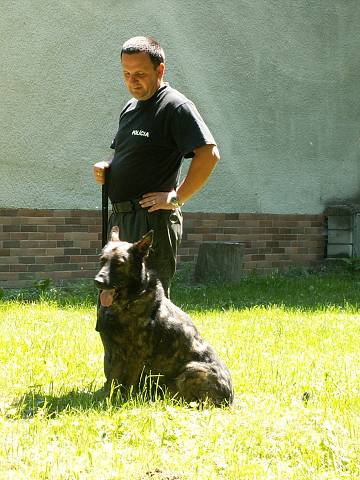 Camping Lodenica Pie��any