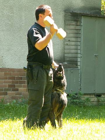 Camping Lodenica Pie��any