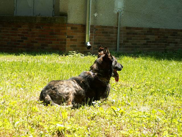 Camping Lodenica Pie��any