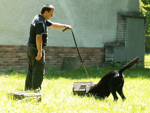 Camping Lodenica Pie��any