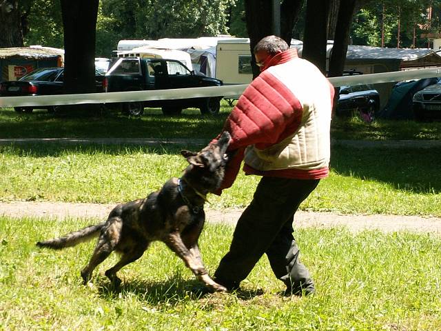 Camping Lodenica Pie��any