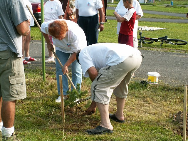 img00019.jpg